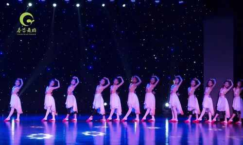 春苗舞蹈藝術節首屆基本功展示今天下午1 00在婺城區文化館拉開序幕