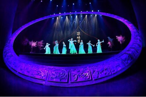 遼寧歌舞團(tuán)最新大型民族舞蹈精品晚會(huì) 舞與倫比 沈陽(yáng)首演