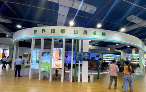 建南多款產品閃耀硒博會，舞今信息引領科技新風尚